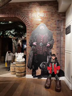 Harry Potter Store in New York City with immersive themed displays.