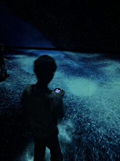 Immersive digital art and science installation at the Invisible Worlds exhibit in AMNH.